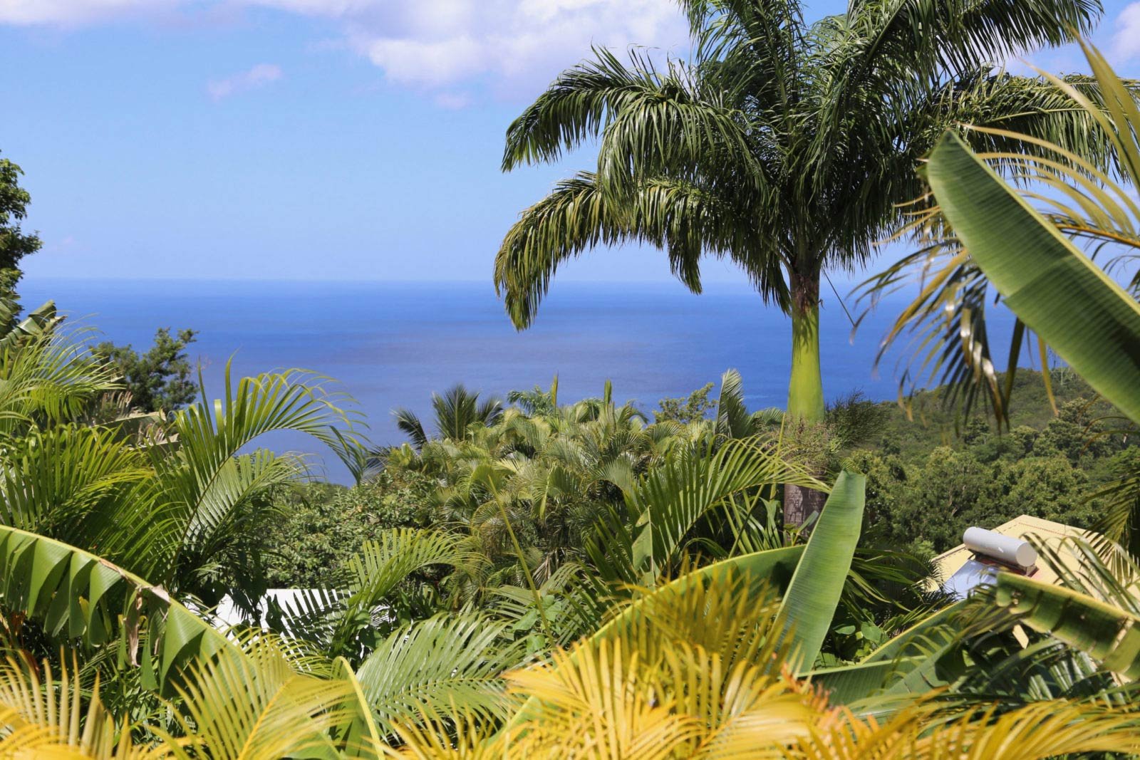 Villa O Perchée - Vue mer des Caraïbes