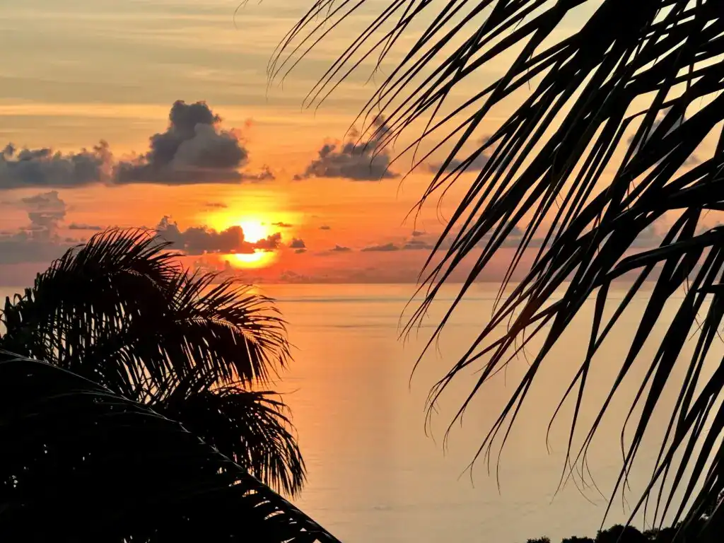 Trésor naturel de la Guadeloupe, coucher de soleil tropical derrière des palmiers, reflet sur l'océan, paysage idyllique pour une escapade relaxante et paradisiaque.
