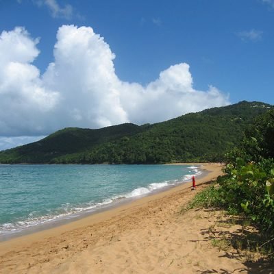 Plage Grande Anse à Deshaies