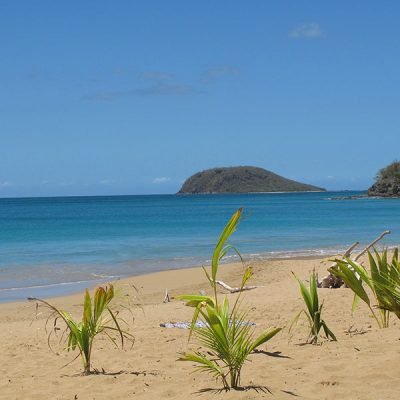 Plage de La Perle à Deshaies