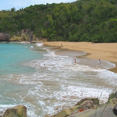 Plage de l'Anse Tillet à Deshaies