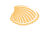 Pictogramme Coquillage Nacre de coquillage beige, texture naturelle et détail complexe, symbole de la mer et de la plage, idéal pour évoquer la relaxation et le luxe en Guadeloupe.