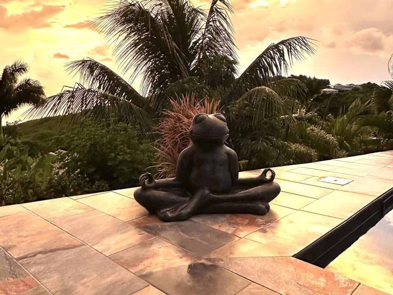 Sculpture de grenouille en méditation sur une terrasse ensoleillée avec vue tropicale en Guadeloupe.